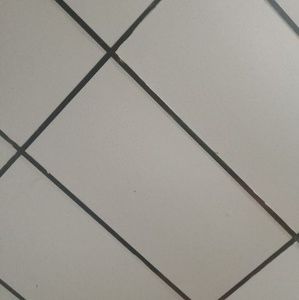 Meet your Posher, Racheal